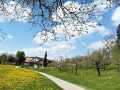 IMG-20260421-WA0014