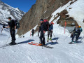 Wallis_02