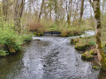 Zielfingen05