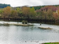 Zielfingen09