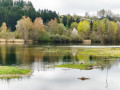 Zielfingen10