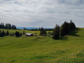 20260510_Eschachrunde-1