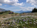 11-IMG_9740