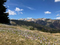 12-IMG_9763
