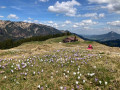 13-IMG_9765