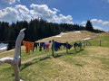 14-IMG_9774