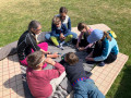 16-IMG_9779