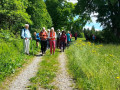 Leutkirch02