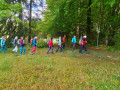 Waldburg03