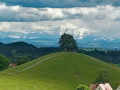 Waldburg11