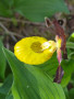 Warmtal02