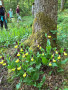 Warmtal03