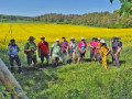 Warmtal04
