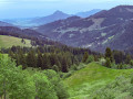 Bleicher09