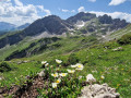Geisshorn_008