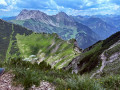 Bschiesser11