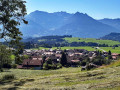 IMG-20260728-WA0010