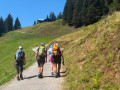IMG-20260728-WA0030