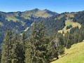 IMG-20260728-WA0035