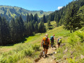 IMG-20260728-WA0055