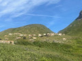 IMG-20260713-WA0022