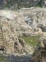 IMG-20260713-WA0037