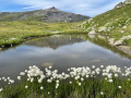 IMG-20260713-WA0038