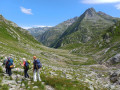 IMG-20260713-WA0043