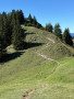 Hirschberg05