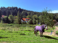 Ittelsburg05