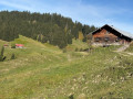 Piesenkopf02