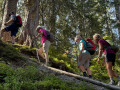 Piesenkopf04