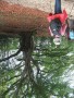 DSCF9310