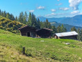 Rosskopf08