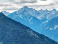 Wildsau05