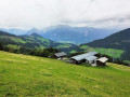 Wildsau09