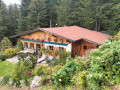 Wildsau11