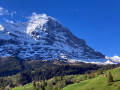 01-IMG_3586