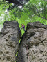 03-IMG_0587