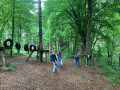 12-IMG_0677