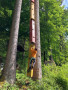 14-IMG_0719